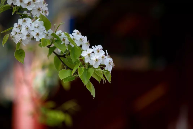 立夏丨春光萬象中，夏日初長成--易造防雷