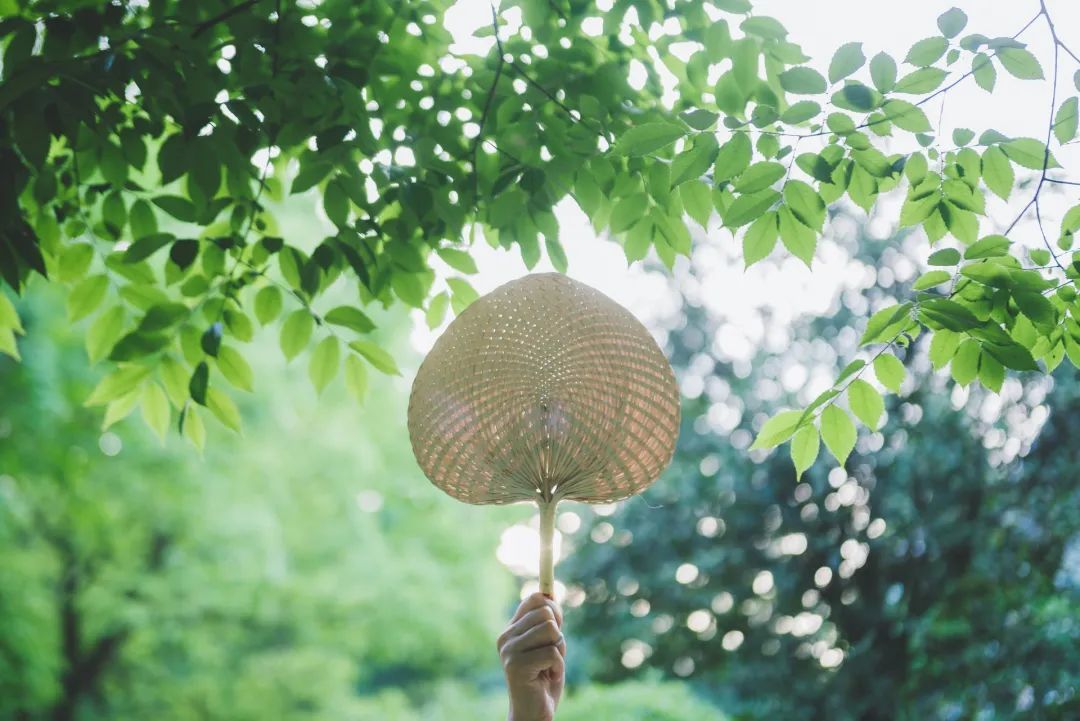 立夏丨春光萬象中，夏日初長成--易造防雷