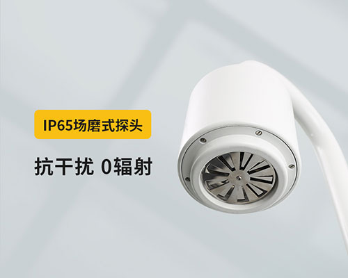 山東某油庫選用WE3.0雷電預警系統-IP65探頭