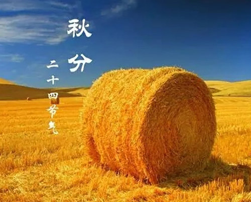 秋分 | 秋色灑滿大地，滿目秋意為伴
